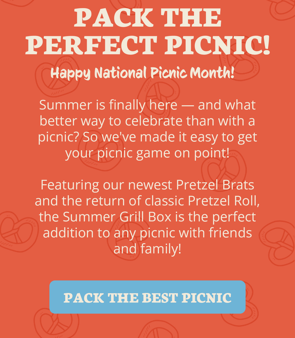 🥨 Happy National Picnic Month! The Pretzel Company